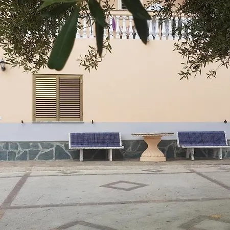 S.antonio * アシェーア